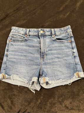 American Eagle Outfitters Light Blue Distressed Denim Cutoff Shorts